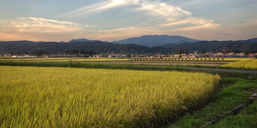 Maldevta Farms allows visitors to breathe in the fresh air.
