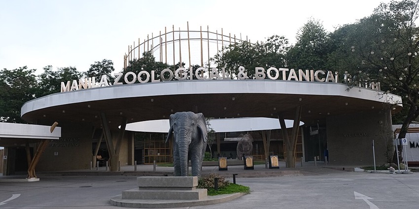 Manila Zoo, a popular destination, showcases diverse wildlife, perfect for family outings.