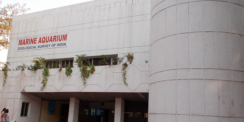 Educational aquarium showcasing diverse marine life in Digha.