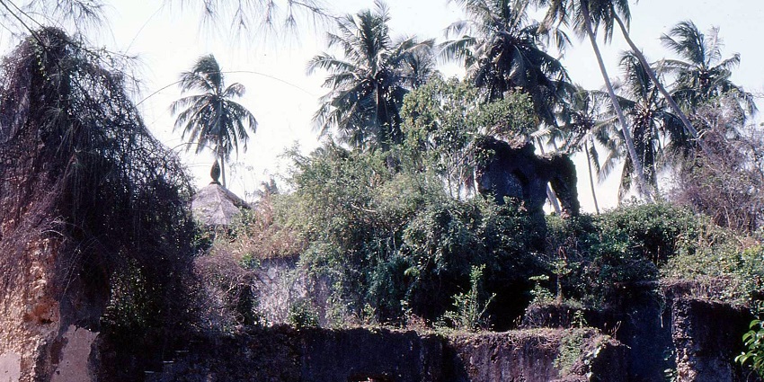 Maruhubi palace ruins with old, ruined, broken buildings surrounded by dense greenery