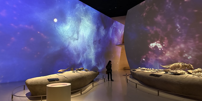 Museum highlighting Qatar’s history, heritage, and modern architecture.