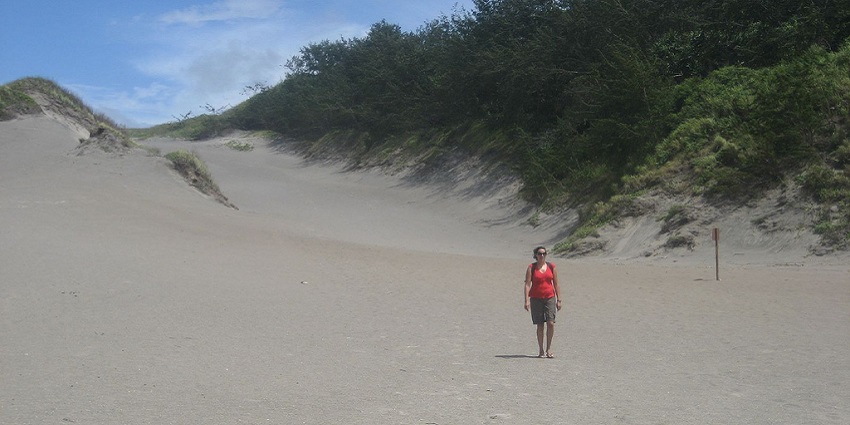 Curvy parallel lines made from wind at the Sigatoka Sand Dunes in Viti Levu, Southern Fiji.