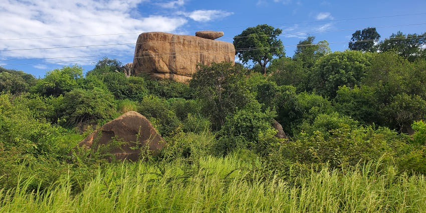 Archaeological site surrounded by rocky terrain and slight greenery at the Olduvai gorge.