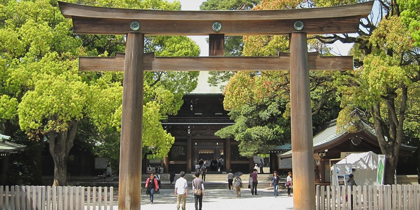 Meiji Jingu Shrine torii gate set amid dense forested path in Tokyo—things to do in tokyo in november