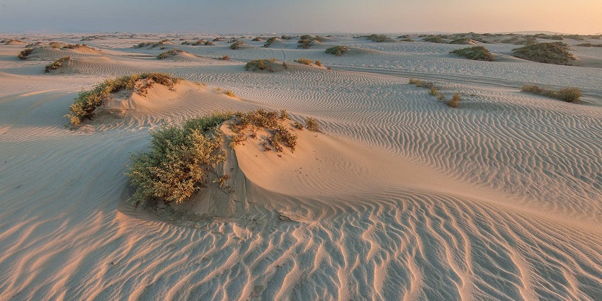 Expansive desert area offering thrilling adventures and stunning dunes.