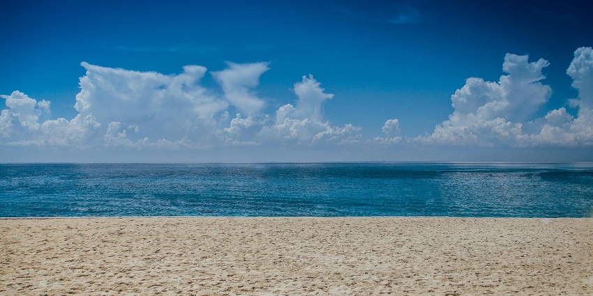 Beach with bright blue seawater and sandy shoreline with palm trees and greenery
