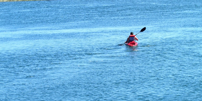 An image of a kayaker paddling along a peaceful stretch of the Mississippi River.