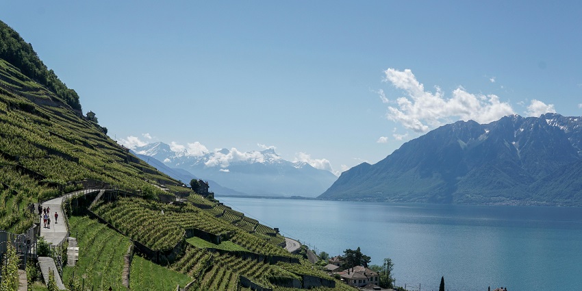 Montreux and the Lavaux Vineyards, a refreshing place to visit in Switzerland in May.