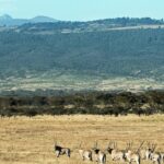 The peaks of Mount Kenya, slightly covered in snow and surrounded by small green hills.