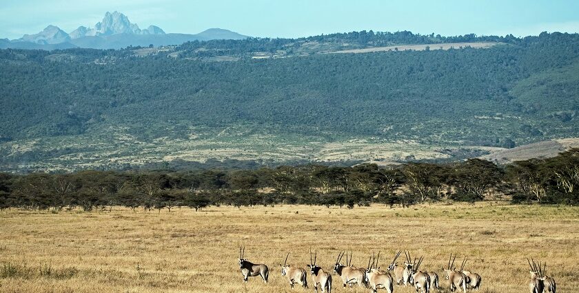 The peaks of Mount Kenya, slightly covered in snow and surrounded by small green hills.