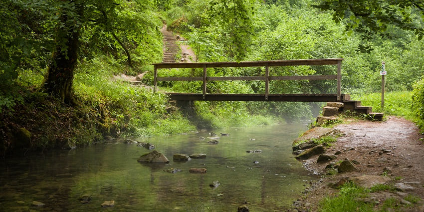 Explore the charming forests and Mullerthal Trail, a place to visit in Luxembourg