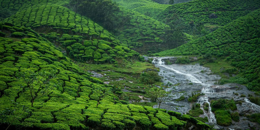 Landscape and picturesque beauty of Munnar, one of the best hill stations near Dindigul.