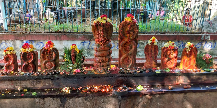 Beautiful landscape of the Nagvasuki Temple.