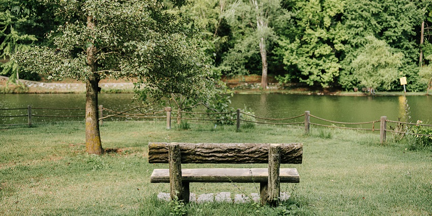 organise a picnic with your friends at nana rao park and have a peaceful time together