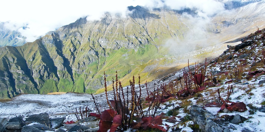 Nanda Devi National Park is a place to learn about the region’s biodiversity and wildlife.