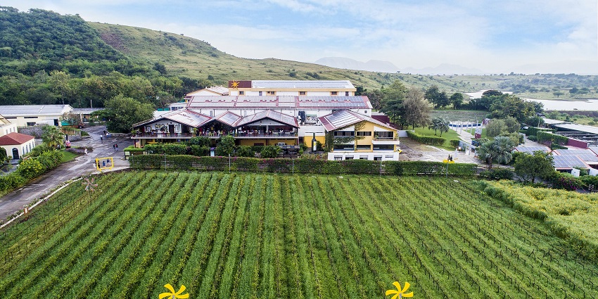 Scenic vineyards, known for wine tours are the best place to visit as per the Nashik city guide.