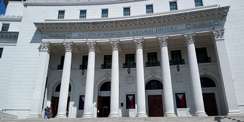 Learn about the nation's fine art in the National Museum of History and Art.
