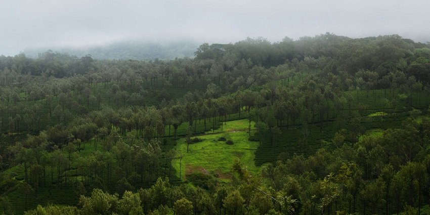 A scenic view showing the refreshing stream cascading down amidst the verdant valleys.
