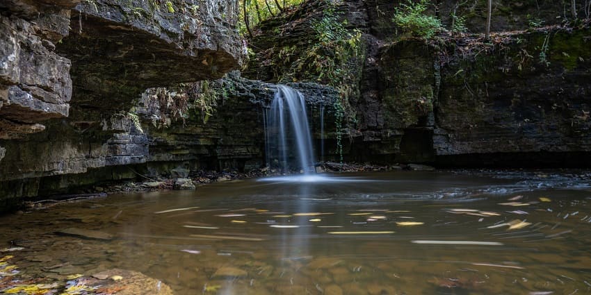 A small hidden waterfall flowing into the water, creating a pool with fallen leaves.