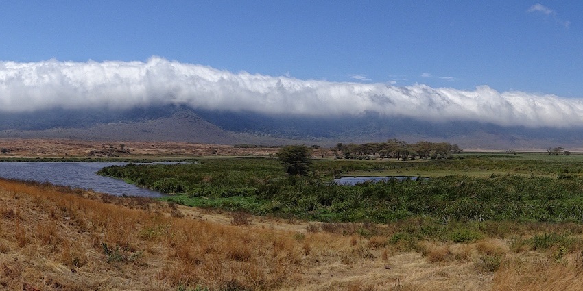 A wide view of the Ngorongoro Conservation Area from Ngorongoro Crater’s bottom in Tanzania
Viewers of this file can see comments and suggestions