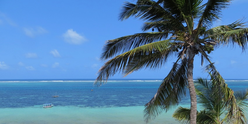 A beautiful Nayali Beach with white sand and palm trees surrounded by turquoise water
