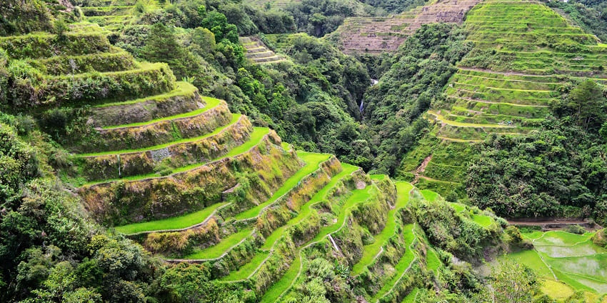 Learn about agricultural practices in rural Philippines