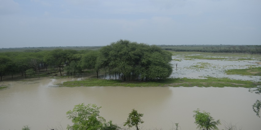 Okhla Bird Sanctuary is one of the best places to visit in Noida with friends.