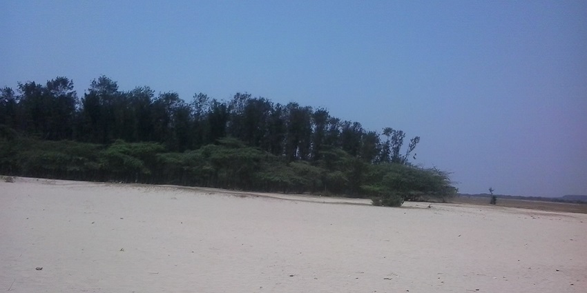 Popular beach destination offering scenic views and tranquillity, as showcased in the Digha travel guide.