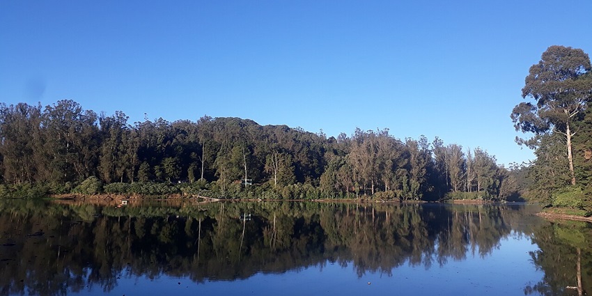 Tourists enjoy boating at the scenic Ooty Lake in Tamil Nadu, as mentioned in the Ooty travel guide.