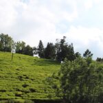 A view from the top of the scenic hills covered with clouds in Ooty, Tamil Nadu.