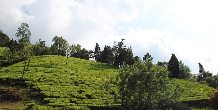 A view from the top of the scenic hills covered with clouds in Ooty, Tamil Nadu.