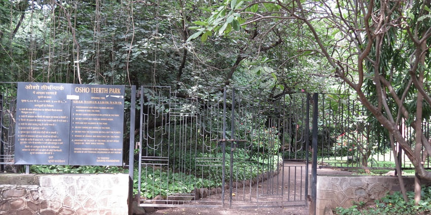 The statue of Osho at the Ashram, a peaceful retreat for meditation and spiritual growth.