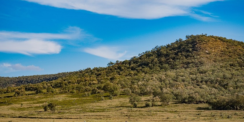 A sandy road in Hells Gate National Park surrounded by greenery and distant mountains.