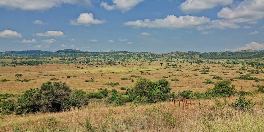 Image of the beautiful landscape of the iconic Queen Elizabeth National Park in Uganda