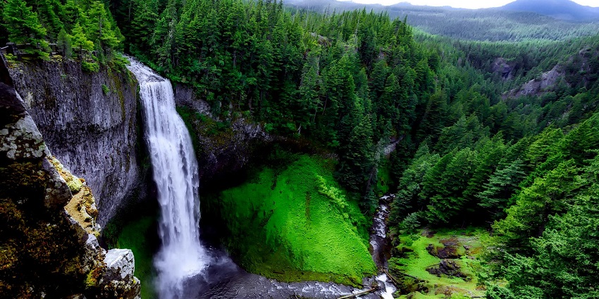 An image of the landscape down a rocky cliff, with tall trees and greenery all around.