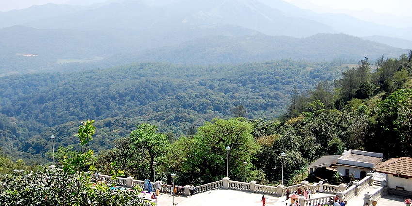 Scenic image of the hills covered by the lush green trees and plantation in Coorg
