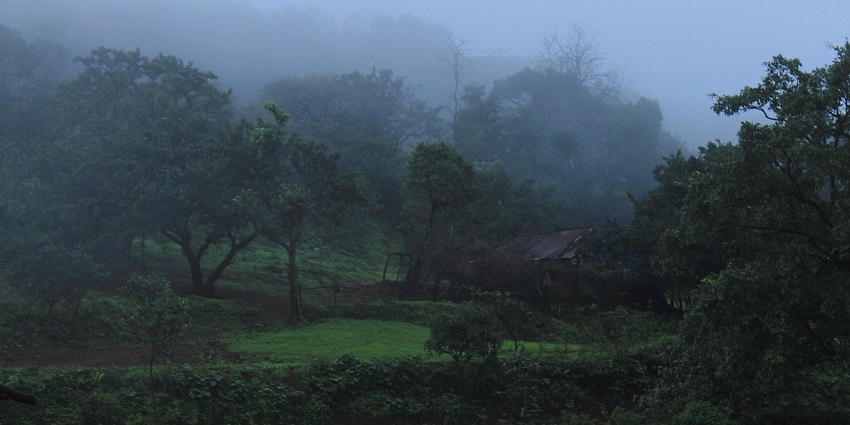 Monsoon, changes the landscape from dry grassland to evergreen blanket.