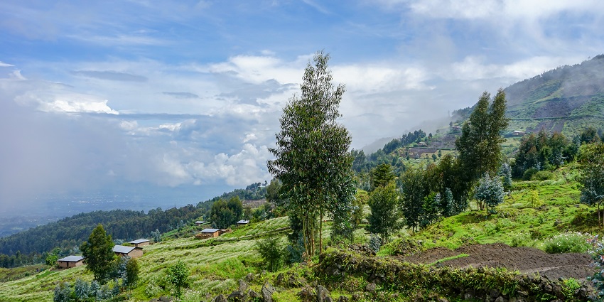 Image of the scenic Rwanda national park covered by the lush green trees