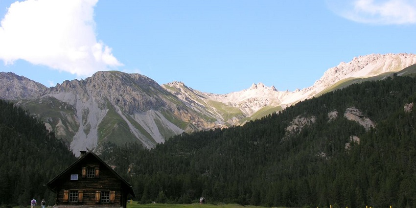 Embracing the magic of Swiss National Park in the heart of Switzerland.