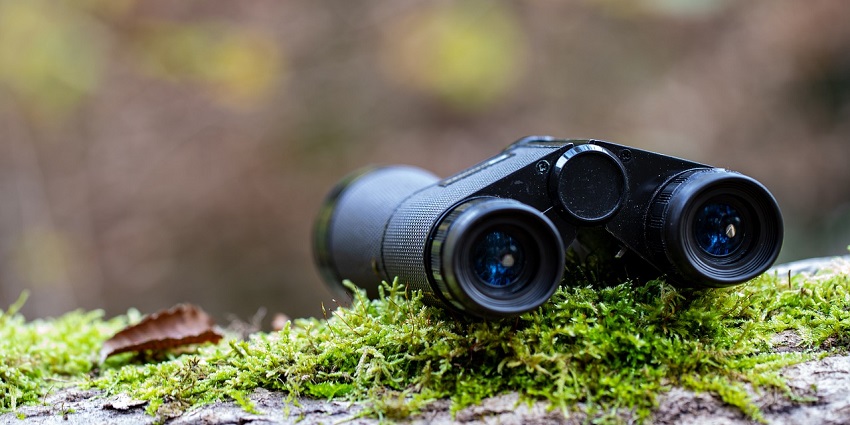 Black-coloured binoculars lying on an old wooden surface with leaves growing out of it.