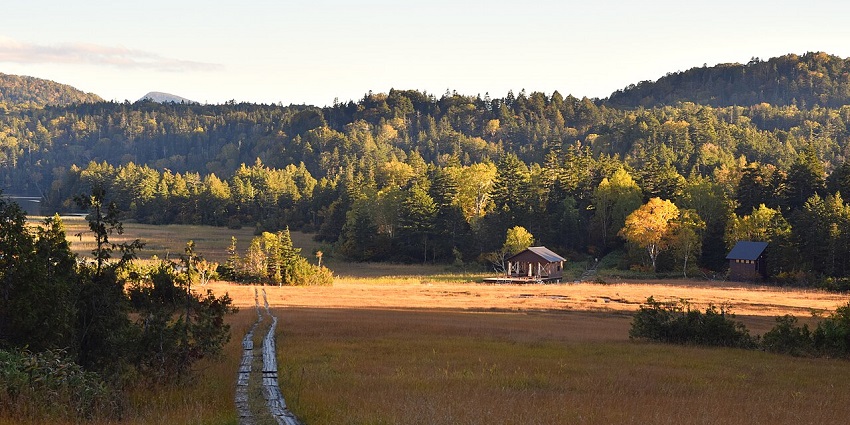 Oze National Park showcases colorful autumn landscapes with marshes and boardwalk trails in October.