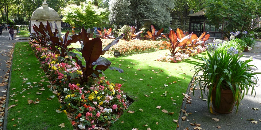 An image showing The Paddington Street Gardens, a peaceful green space in central London.