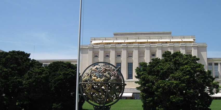 Exploring the beauty of nature in the premises of the Palace of Nations.
