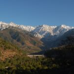 Palampur travel guide showcases serene landscapes, tea gardens, and monasteries