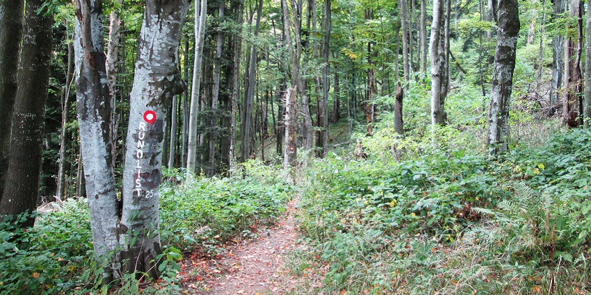 An image is of the Medvednica nature park where one of the Croatia waterfalls is located.