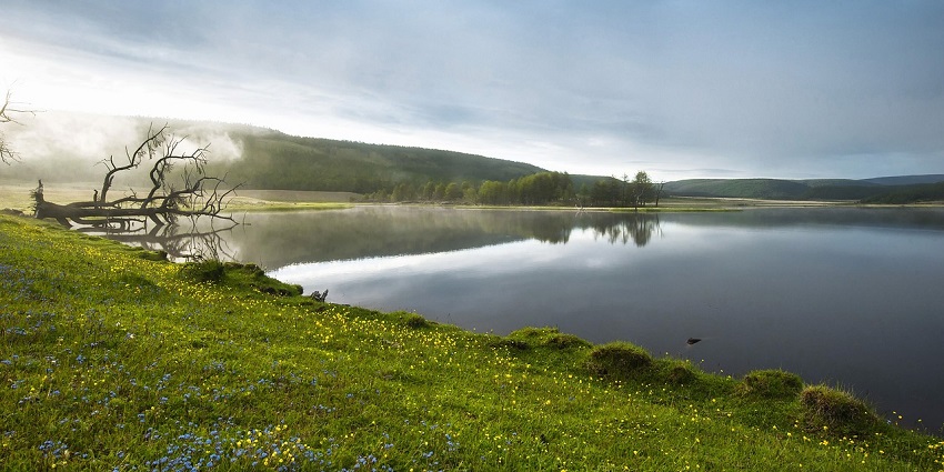 A picture of Pawna Lakeside camping, one of the best adventure sports in Lonavala.