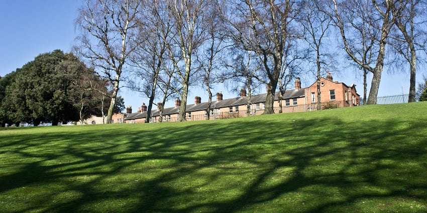 A picture of Phoenix Park, which is one of the best places to visit in Dublin.