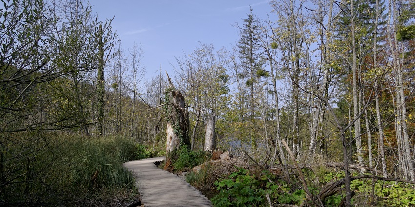 A view of the park showcasing its grand waterfalls, and the blue-green colour of the lakes.