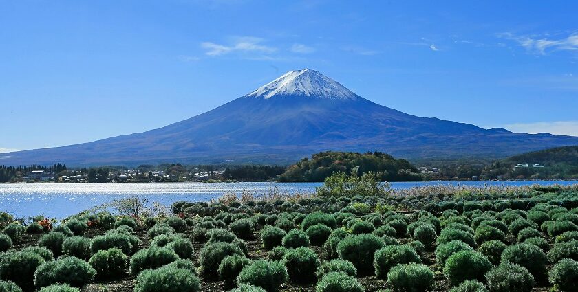 Explore places to visit in Japan which is a fascinating blend of ancient traditions.