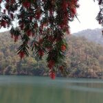 Feel the exquisite beauty of Uttarakhand with these places to visit in kathgodam